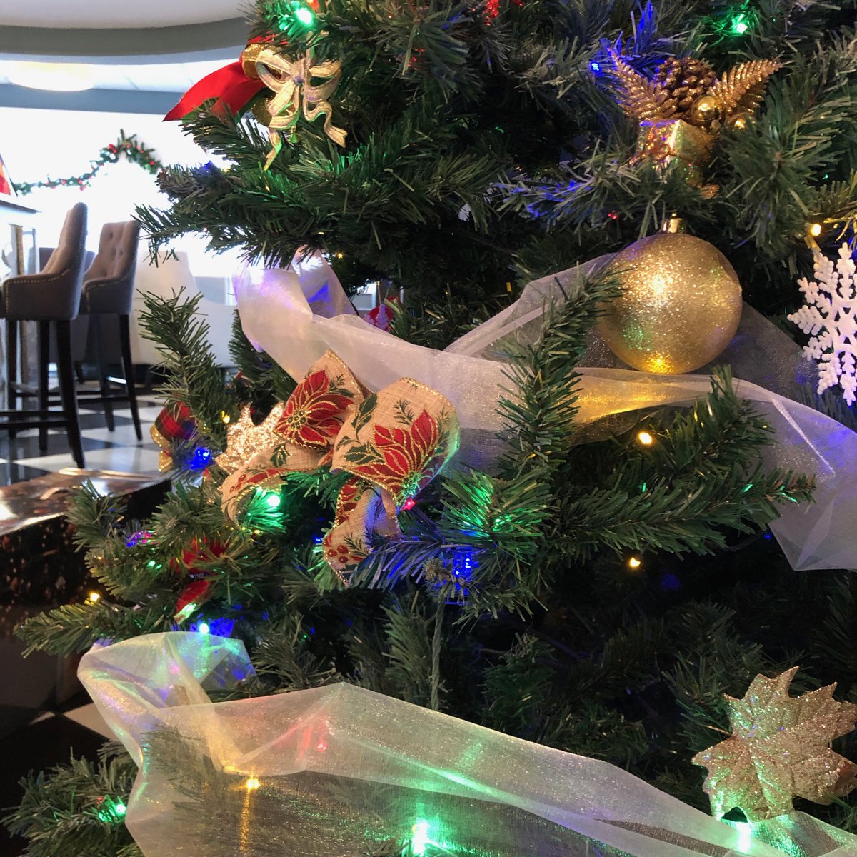 AlMoloWeymouth's tweet photo. The decorations are up, 'It's Christmas'... #almolo #weymouth #weymouthbeach #italian #italianrestaurant #christmas #christmastree #festive #instachristmas https://t.co/QCEpV4aaf0