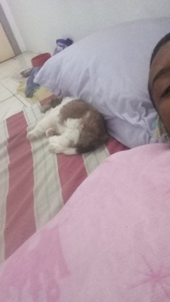 klebinngous10's tweet image. filha 😍🐶 #Saory