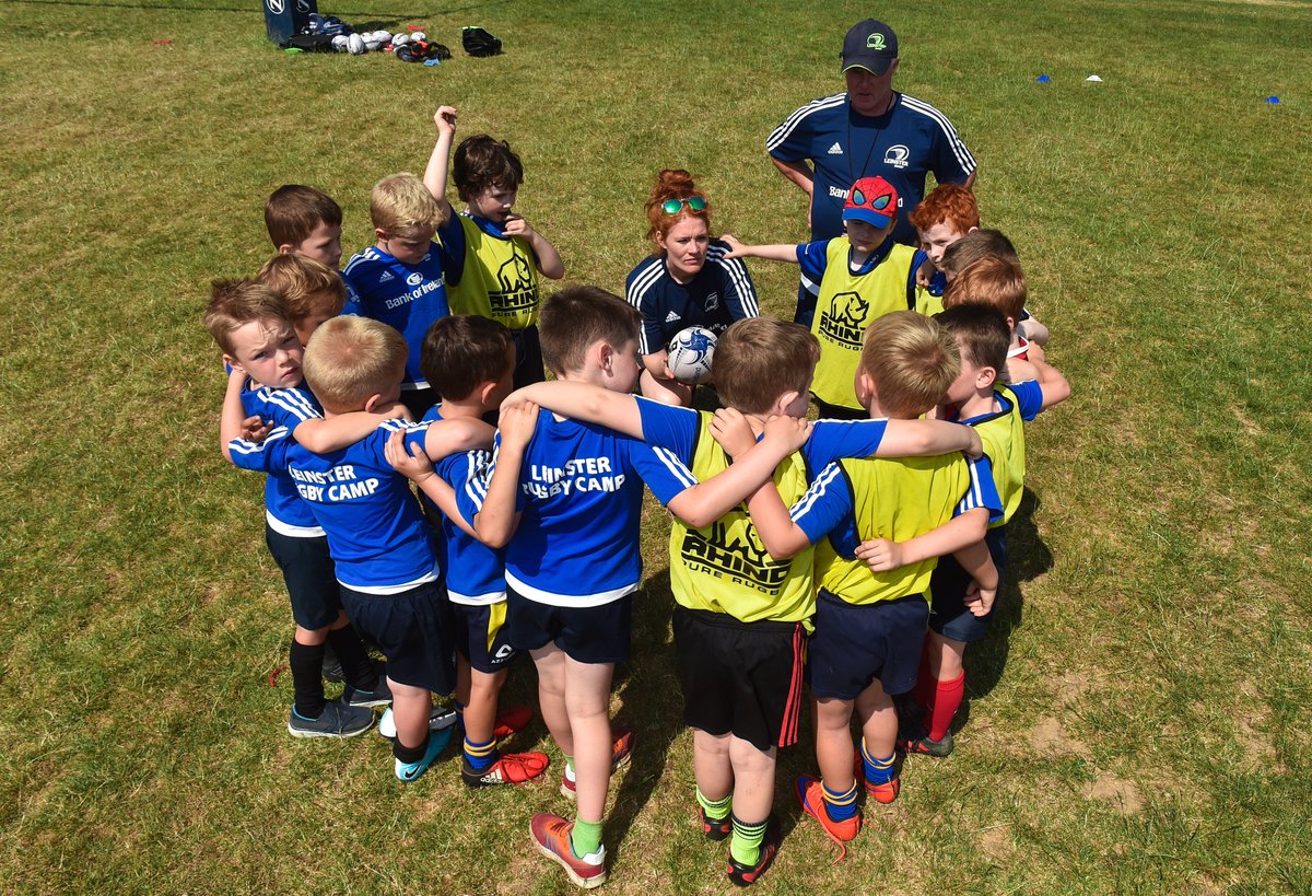 Leinster Domestic tweet media