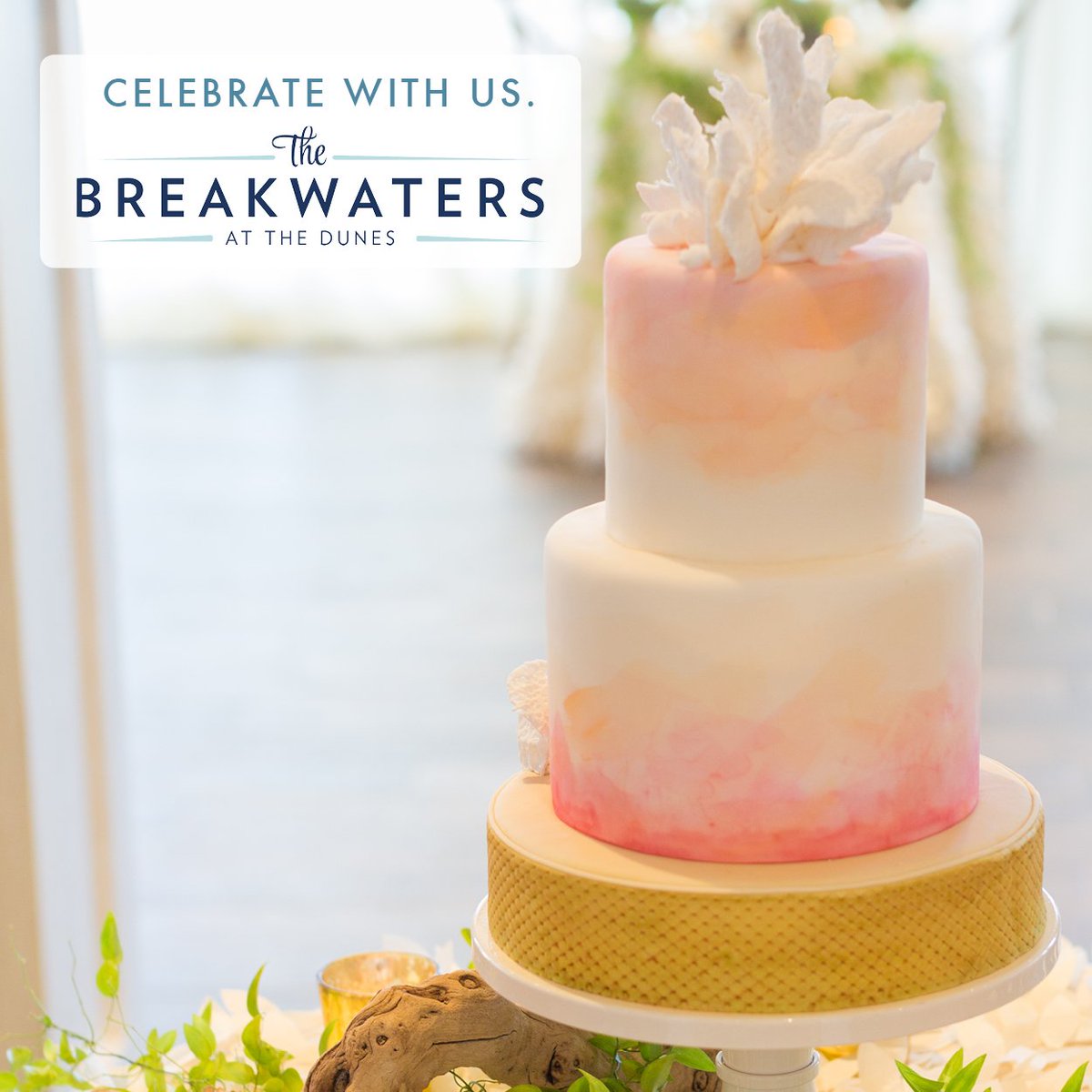 Have your cake - and eat it, too. Forever starts here. 

| events@breakwatersseaisle.com |