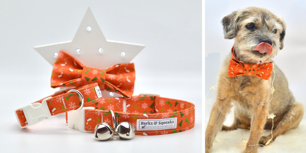 BarksAndSqueaks's tweet photo. Happy #WoofWoofWednesday everyone! I have a few Christmas collars and bow ties left - collars are limited now! Get Festive!  Collars made to order and both collars &amp; bow ties are hand made by me https://t.co/sYzbPcwFCG #christmasgifts #dogs https://t.co/H4FjGuXSSO