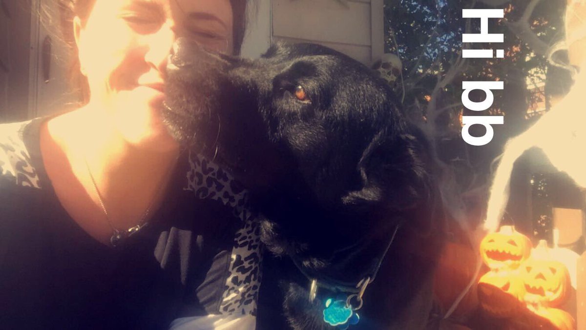 BamxLex's tweet photo. Today my best friend for the last six years passed away after a very short battle with cancer. It came on quick and we had no way of knowing. I’m glad you’re ok now Lorenzo, I love you forever and ever. https://t.co/SmmB0HuNFb