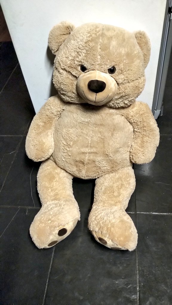 ginormous teddy bear