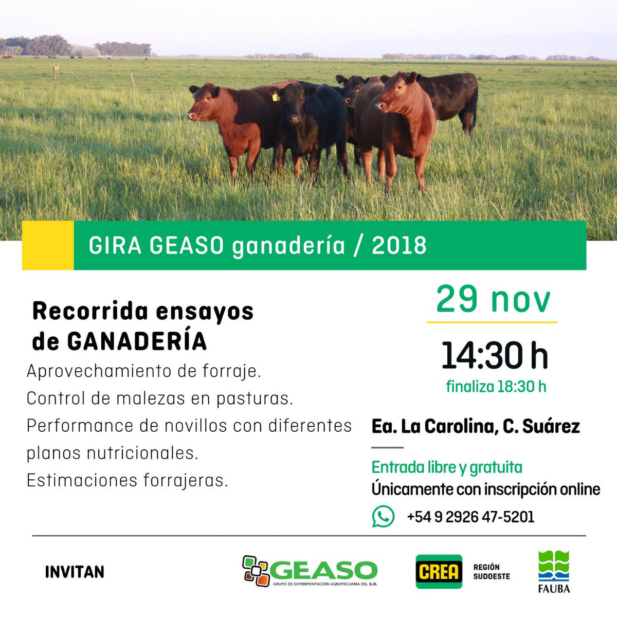 CREA (@crea_arg) on Twitter photo 🗓 Mañana ⏳ ⏳ Estás a tiempo de sumarte a la recorrida de ensayos de #Ganadería de <a href="/CREASudOeste/">CREA SudOeste</a> 🐂 🐂 Inscribite aquí 👉🏻 bit.ly/2P5BHOI 🗓 Mañana ⏳ ⏳ Estás a tiempo de sumarte a la recorrida de ensayos de #Ganadería de <a href="/CREASudOeste/">CREA SudOeste</a> 🐂 🐂 Inscribite aquí 👉🏻 bit.ly/2P5BHOI