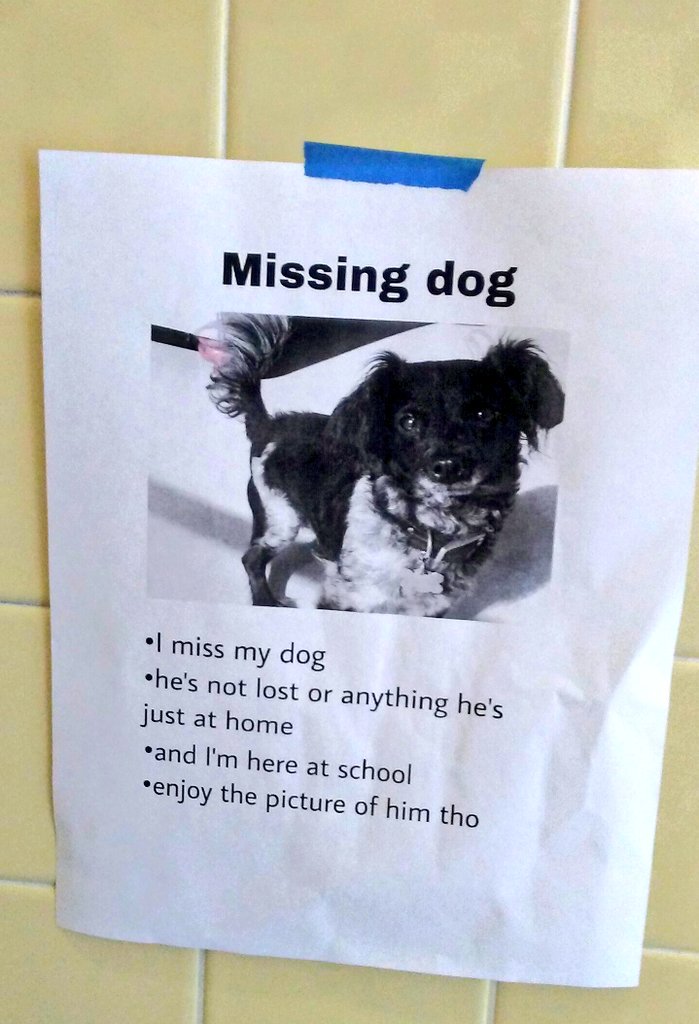Bobbutterbutt's tweet photo. THIS WAS IN THE GIRLS BATHROOM AT SCHOOL https://t.co/0odMyLzjuB
