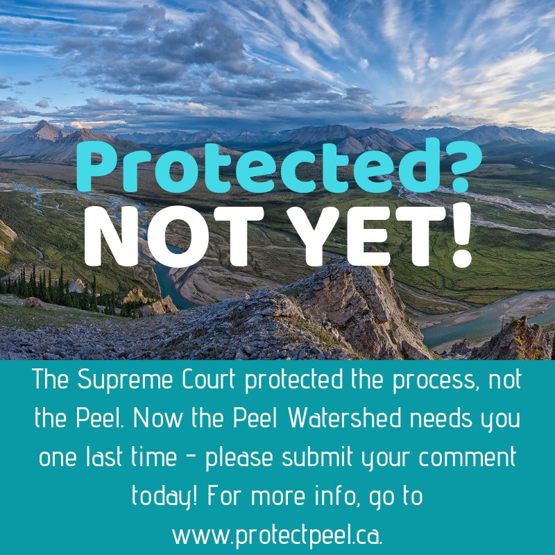 Have you waited to submit your comment to protect the Peel Watershed? Do you need more information? Drop by the CPAWS Office at 506 Steele Street tomorrow during lunch for some free pizza and info on the Peel. Comments must be sent by this Friday! #protectpeel <a href="/ProtectPeel/">Protect Peel</a>