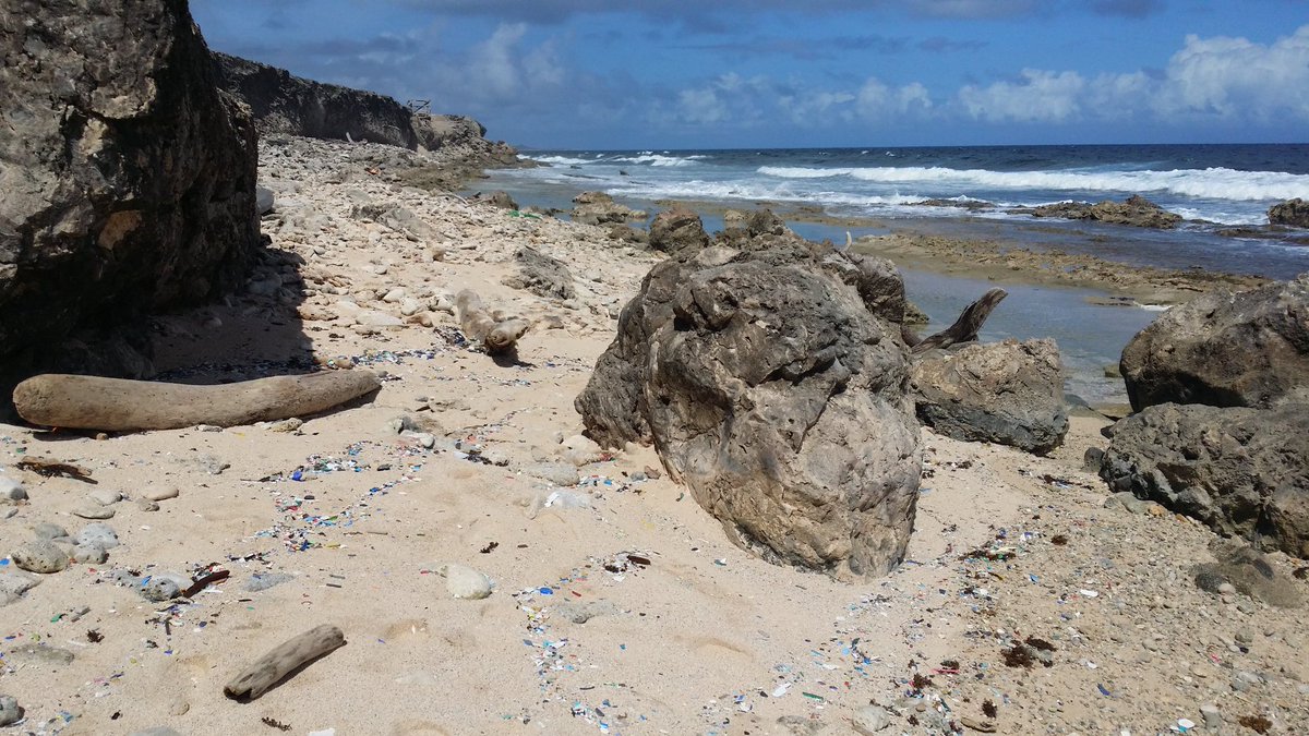 lillyspickup's tweet photo. Today with the Seaturtle Conservation Curacao we did a plastic pickup. It's only when you truely see the scale of microplastic littering a wild coastline you know  how terrible the situation is. They clean here 3 times a week and every tide brings more and more.@PlasticPollutes https://t.co/EsDp0J6rsr