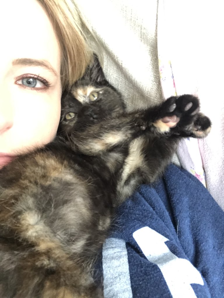 0_LJ_0's tweet image. My little fluffy sidekick! #tinyterror