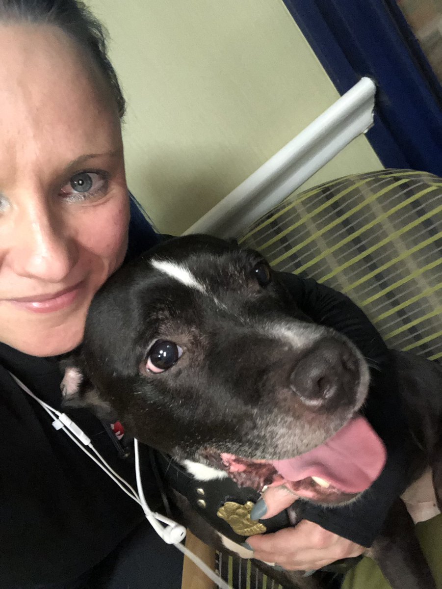 WeeYin_76's tweet photo. Another awesome night with Mr B @GoodGymNcastle... nice @goodgym walk session tonight with #Ed who wasnt impressed with the change in route🤣😘😍🐾❤️oxo
#LoveWednesdays #CoachRuns #GettingFitDoingGood ❤️❤️❤️ https://t.co/FD67C9DfKZ