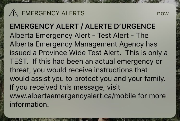 kisslethbridge's tweet photo. Just got the Emergency Test Alert, did you?? #emergencytestalert #yql https://t.co/yWb8b60uKv