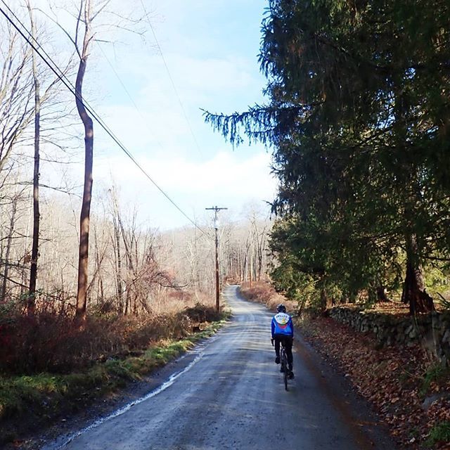 SimonJMale's tweet photo. Another busy day out on the lanes of Putnam County, #newyork.
.
.
.
.
.
#bikes #bikestagram #training #roadslikethese #cyclingphotos #bicycling #bikelife #cyclinglife #strava #stravaphotos #outsideisfree #exploreeverything #roadcycling #cyclist #stravacy… https://t.co/MHChawjenX https://t.co/yMMOHkDW4f