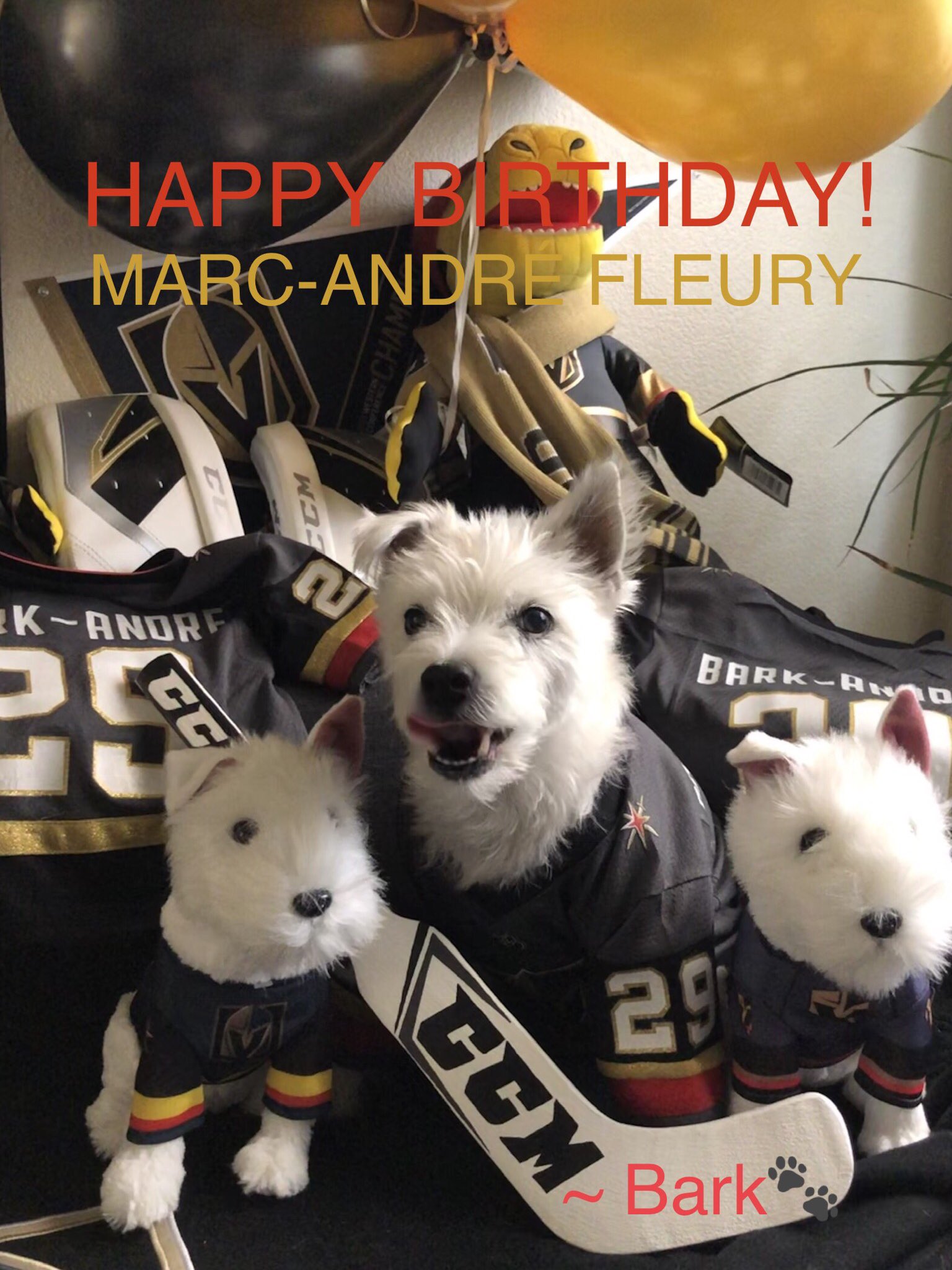 HAPPY BIRTHDAY  MARC-ANDRÉ FLEURY!
~ Bark       