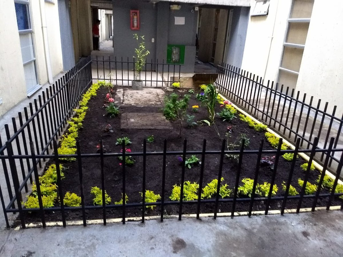CVPBogota's tweet photo. Con escobas, rodillos y flores se embellecieron las áreas comunes!
El equipo de Reisiliencia y Sostenibilidad de la #CVP y @ProsperidadCol acompañaron a más de 109 familias en la jornada de embellecimiento que viven en Candelaria la Nueva y Arborizadora Baja en @ALCBolivar 👨‍👩‍👧🏡🎉 https://t.co/MPezGcNzpO