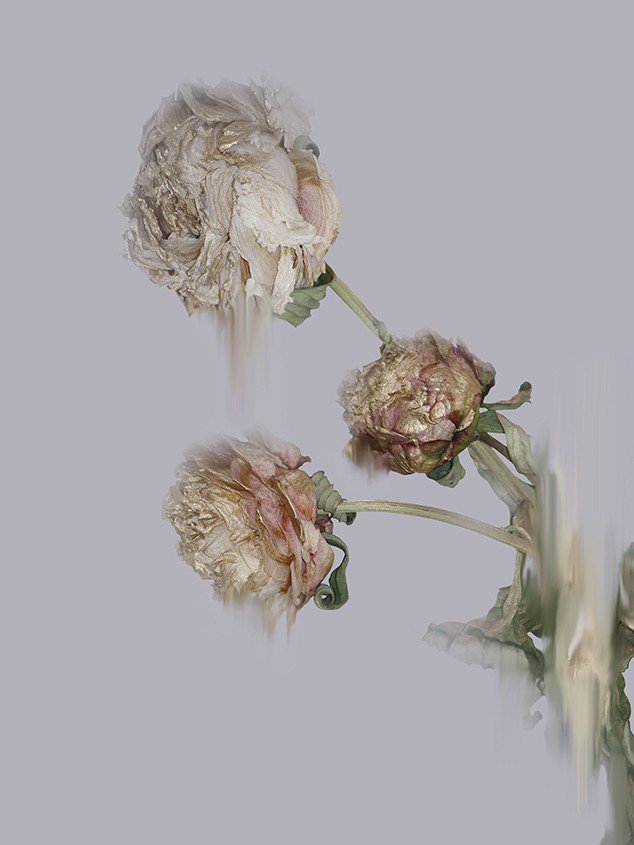 "Glistening Decay" by @simonewebbart. Only 5 exclusive limited-edition pieces are available, all hand-signed and numbered by the artist: citizenatelier.com/glisteningdeca…