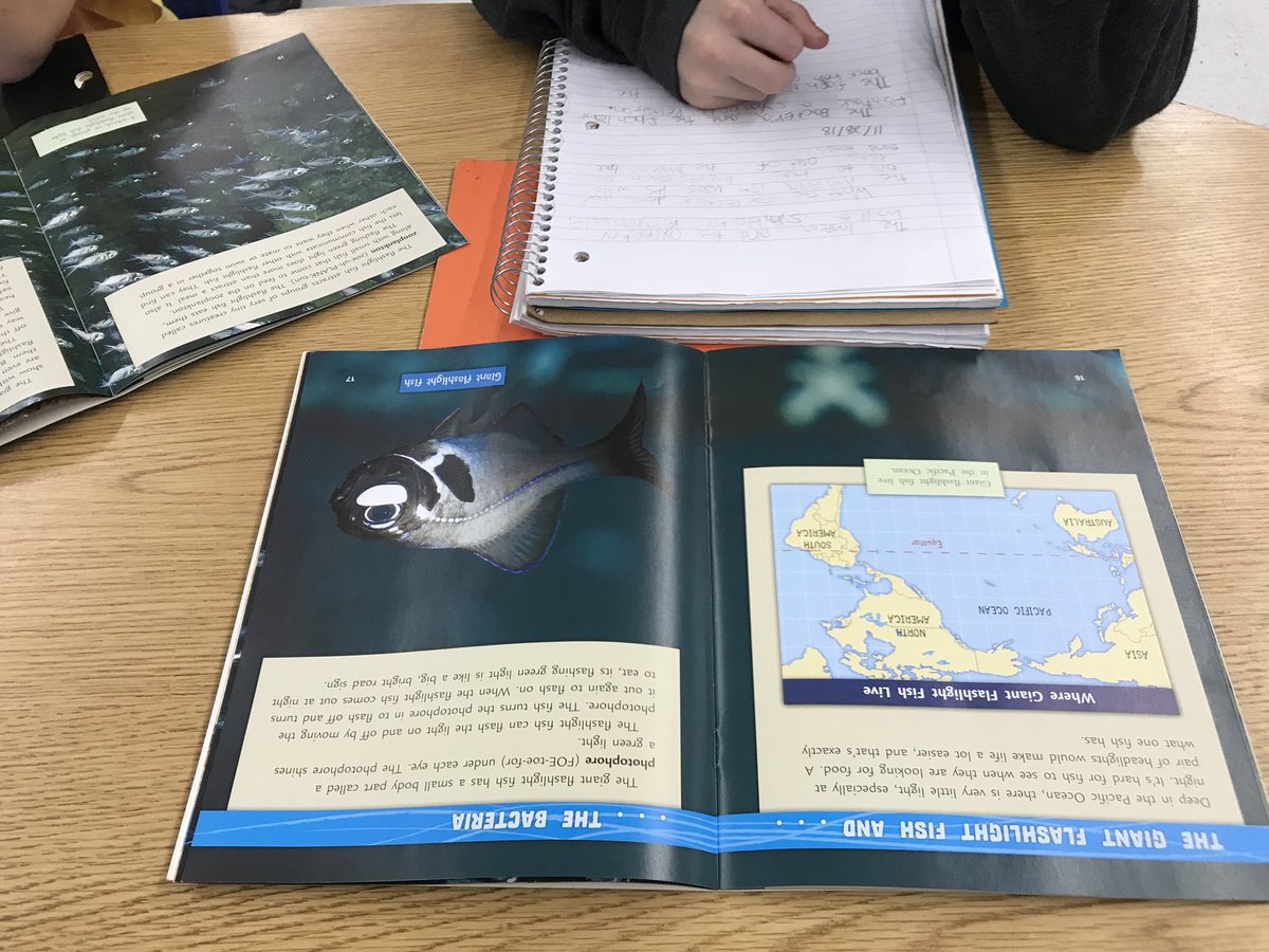 MrsGuptareads's tweet photo. My 5th graders enjoyed reading about the simbiotic relationships between certain animals. Non-fiction books really enhance student’s background knowledge and interest in new topics! @FountasPinnell #leveledliteracyintervention #Harborreadinglab @SeafordHarbor https://t.co/S99hmHLcL9