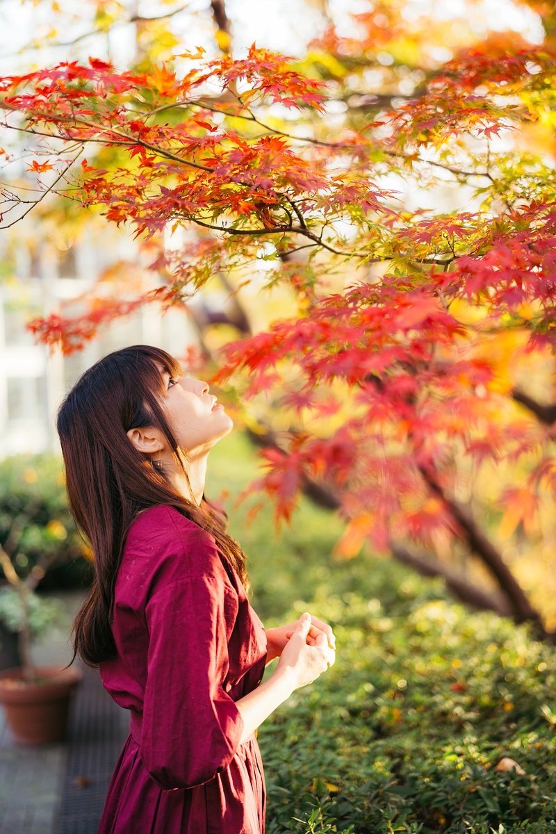 O Xrhsths Kota Sto Twitter 紅葉ポートレート Planar T Fe 50mm F1 4 Za ポートレート Portrait Photography 紅葉 もみじ O Xrhsths Kota Sto Twitter 紅葉ポートレート Planar T Fe 50mm F1 4 Za ポートレート Portrait Photography 紅葉 もみじ