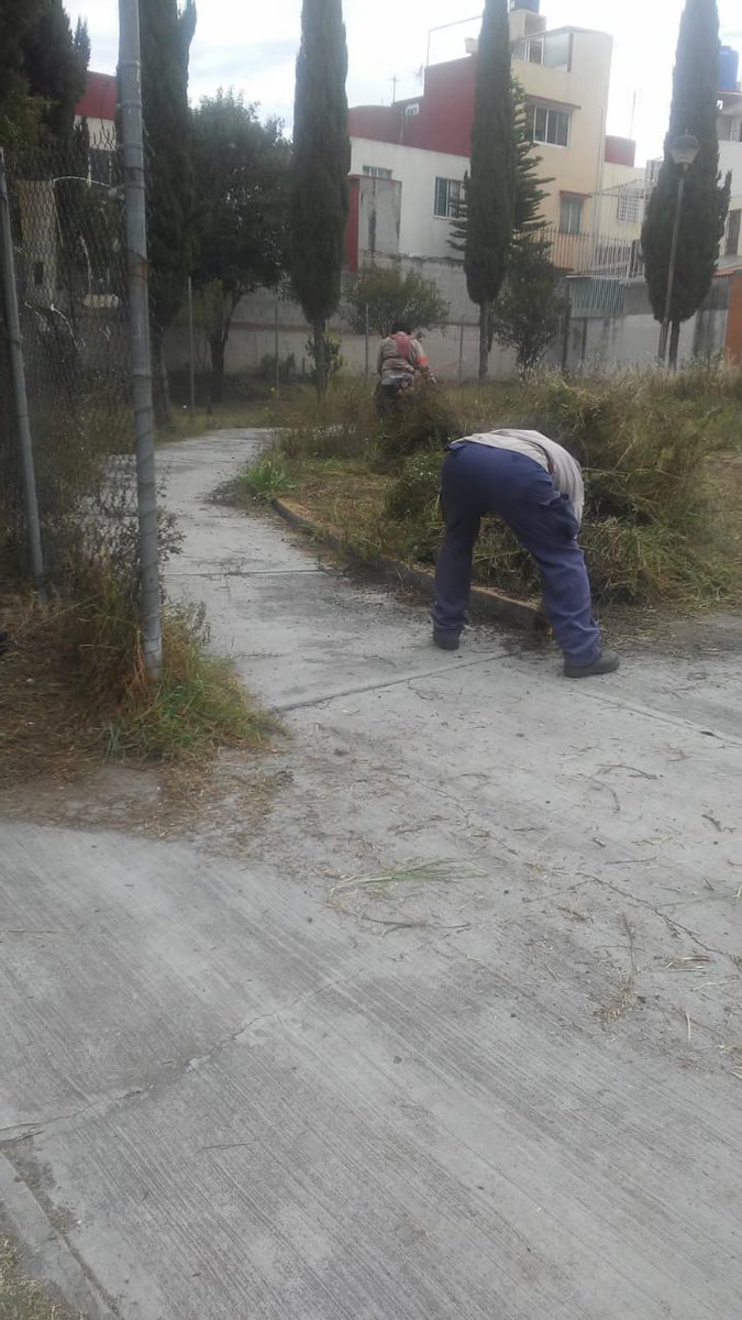 DSPCIZCALLI's tweet photo. Desmalezado y recolección de desechos en la Calle Arcángel Casiel, Claustros de San Miguel.
#MejorIzcalli 
#MunicipioConValores https://t.co/LT8ma5i8ZY