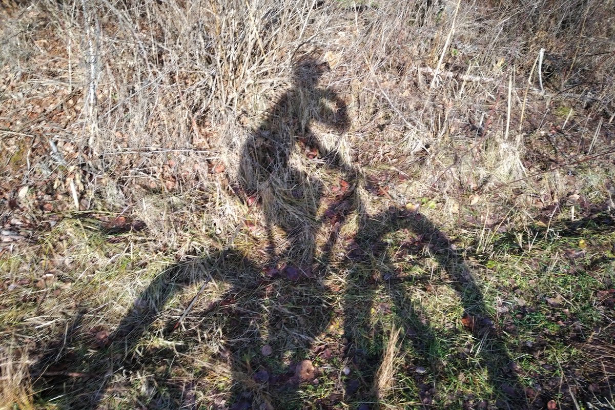 activebalancebc's tweet photo. Sunny day for riding! https://t.co/N7sgMNmjbF