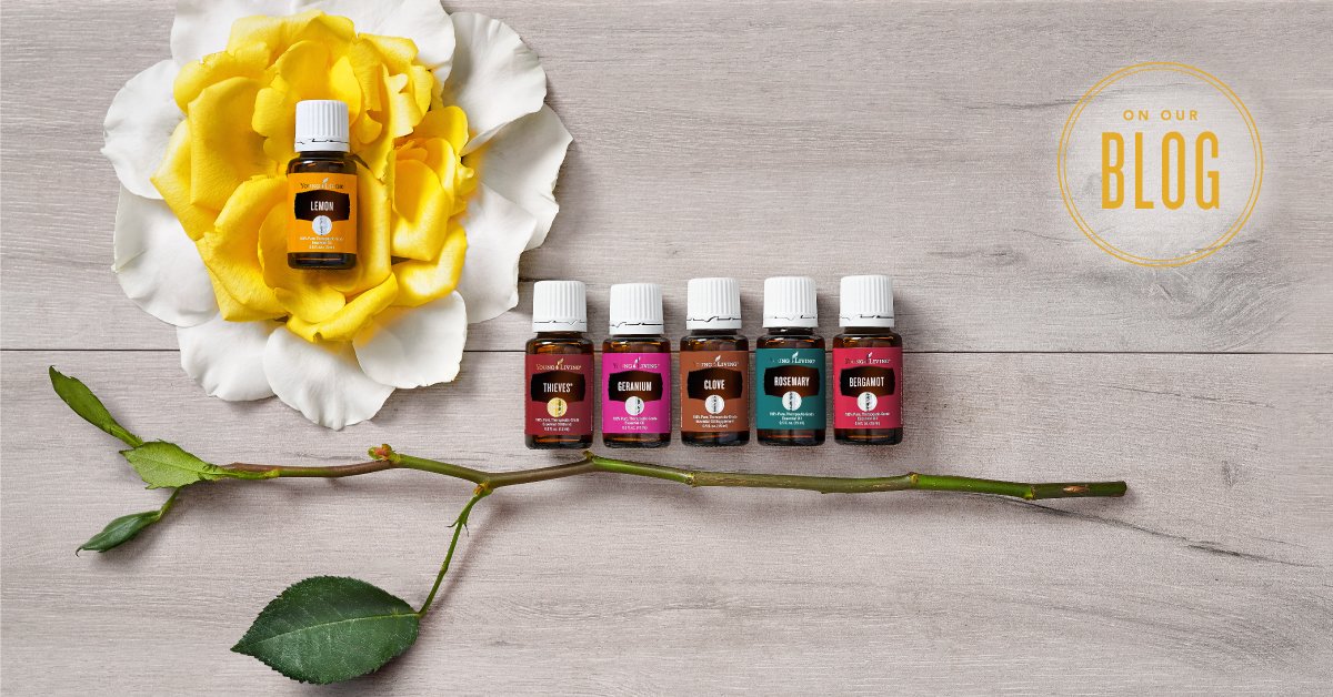 JimmyClareSpeak's tweet image. Mix and match: Essential oil scent combinations dlvr.it/QsMTRH #Infographics #basenotes #BasilEssentialOil #BergamotEssentialOil