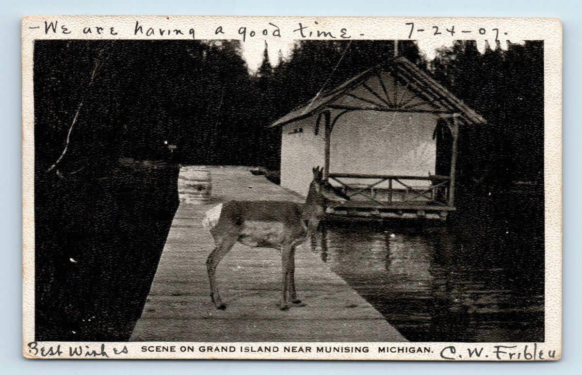 MichiganHist's tweet photo. Scene on Grand Island near Munising - ca. 1907 (ebay)
#AlgerCounty https://t.co/DYu7yGTnCh