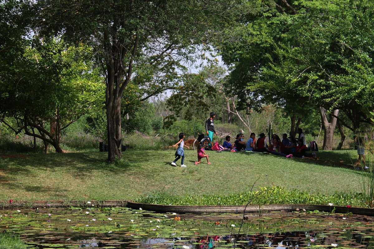 Nuestro Jardín es lugar de esparcimiento. Visitanos en familia y disfruta de nuetros espacios. 
.
.
#JardínBotánicoMcbo #Jardín #Maracaibo #Verde