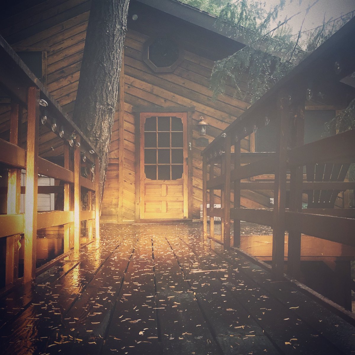 toddclark's tweet photo. “fog&sun”
You can’t pour, lead or love from an empty cup.
🙏
Find that place that is a “thin space” with God and get there. He can do in few minutes or hours what you could never do in weeks or months. #thinspace #mtns #ca https://t.co/E2jP3MjDal