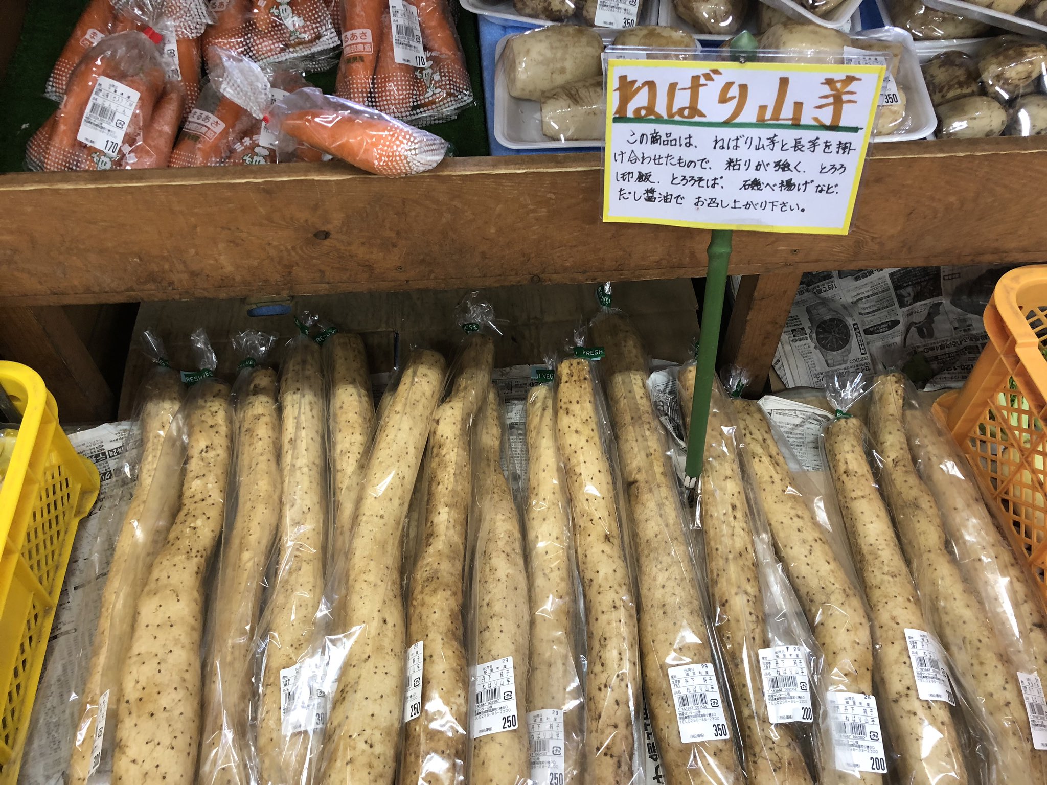 物産センター山桜 新物の長芋が出てくる時期になりました ご飯に合いますよね長芋 当店では長芋 と大和芋の間くらいの粘りがある 名前も粘り山芋を販売中 しかも 一本が0円から350円くらい 是非なんとも言えない粘りを経験してみてください