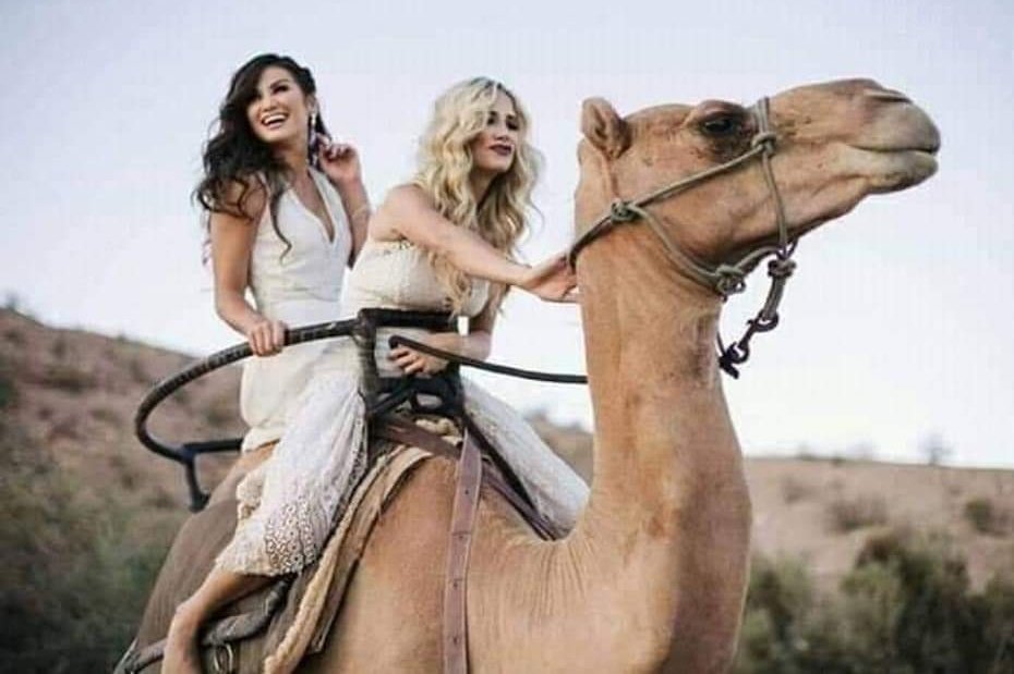 YousryDiab's tweet image. Beautiful day