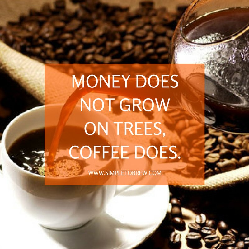 SimpleToBrew's tweet image. Money does not grow on trees, coffee does. 

#cafelife #coffeeaddict #coffeeoftheday #coffeelover #coffeeholic #coffeelove #coffeelife #coffee #musthave #coffeetime #coffeecup #coffeebean #coffeequotes #freshcoffee #coffeeporn