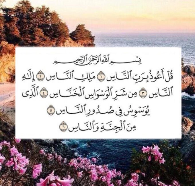 tvfdm53_o's tweet photo. يارب أجعلها صدقة جارية لي أمي الله يرحمك يا أمي يارب أجعل قبرها روضة من رياض الجنة .

 #معني_الامان https://t.co/gc5PIJ7Ci5