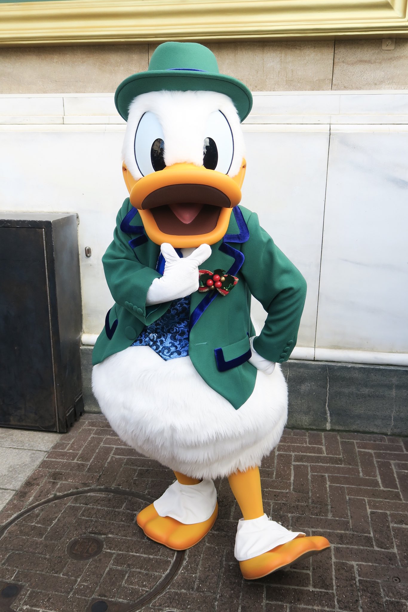 つっちー Dあか 先週土曜日 ウォーターフロントパークでポーズをキメる紳士 グリーンのジャケットにヒイラギのブローチ この時期にしか撮れないコスを 背景に人入れずに撮れたのは大きな収穫だった W ディズニーシー アメフログリ ドナルド