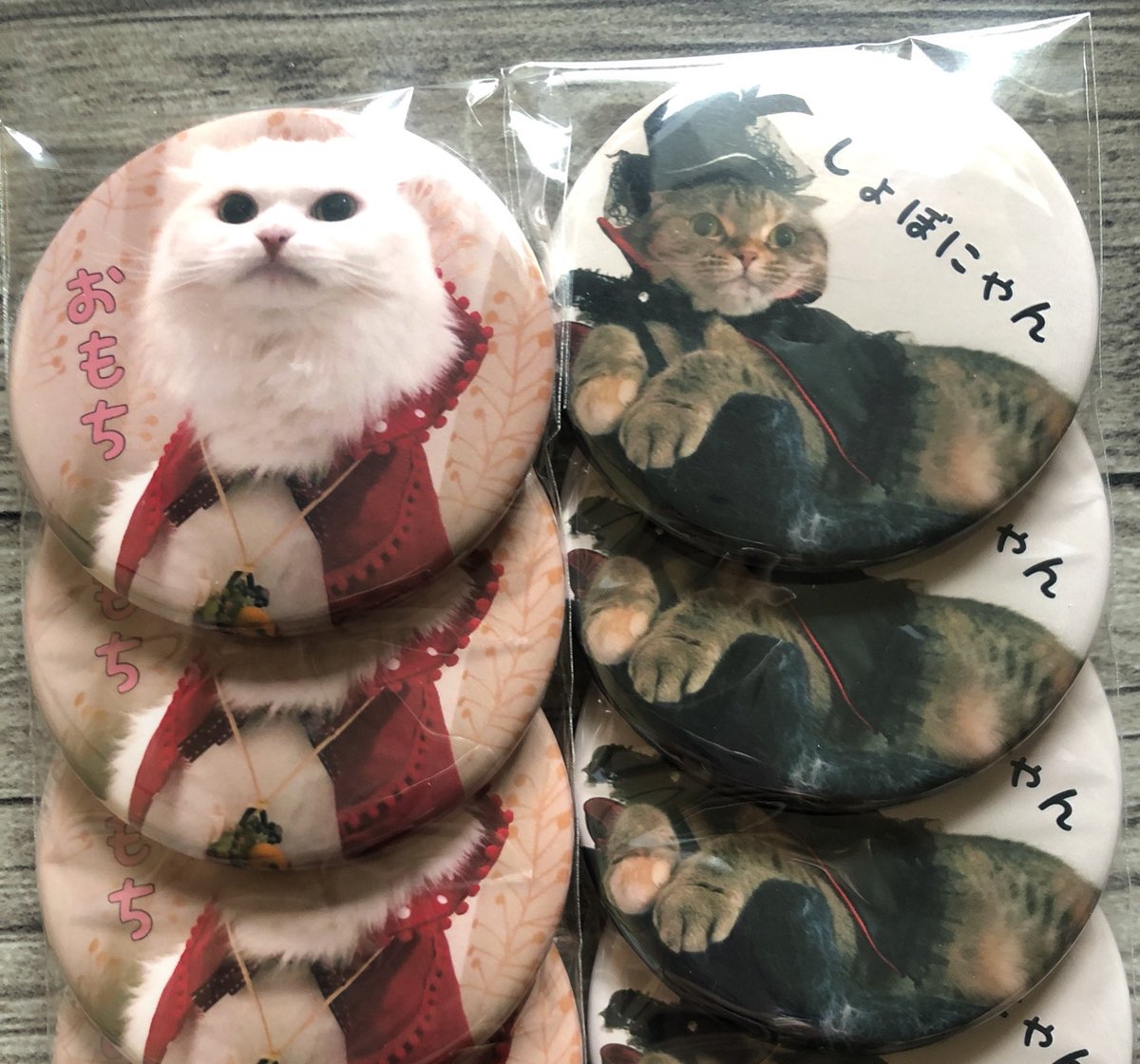 mochi_syobo's tweet photo. うちの子缶バッチ作りました🐱💕
フォロワさんがかなり前に作ってるの見てうちも！と思い早く数ヶ月…やっと作成しました(*´-`)💕BiVin'Bさんの衣装が映えますな(*´ー｀*)💕

#NICEBADGE #BiVinB 
#スコティッシュフォールド https://t.co/bRPMKnuj0Q