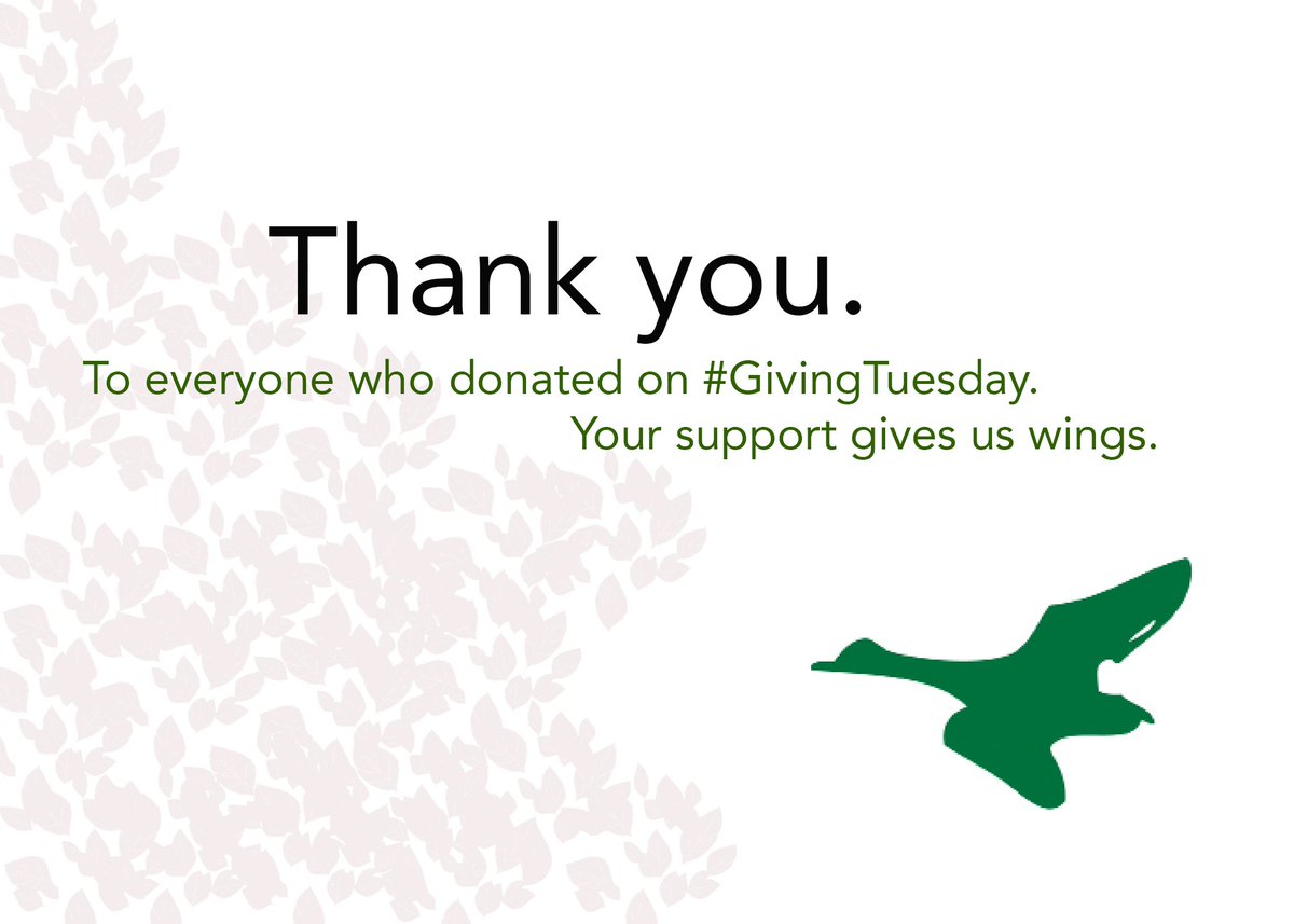 Thank you, everyone, who donated and reached out to the school to support us on #GivingTuesday. Learn more about the background, and the significance of geese to The Kildonan School here: kildonan.org/about-us/kildo….
