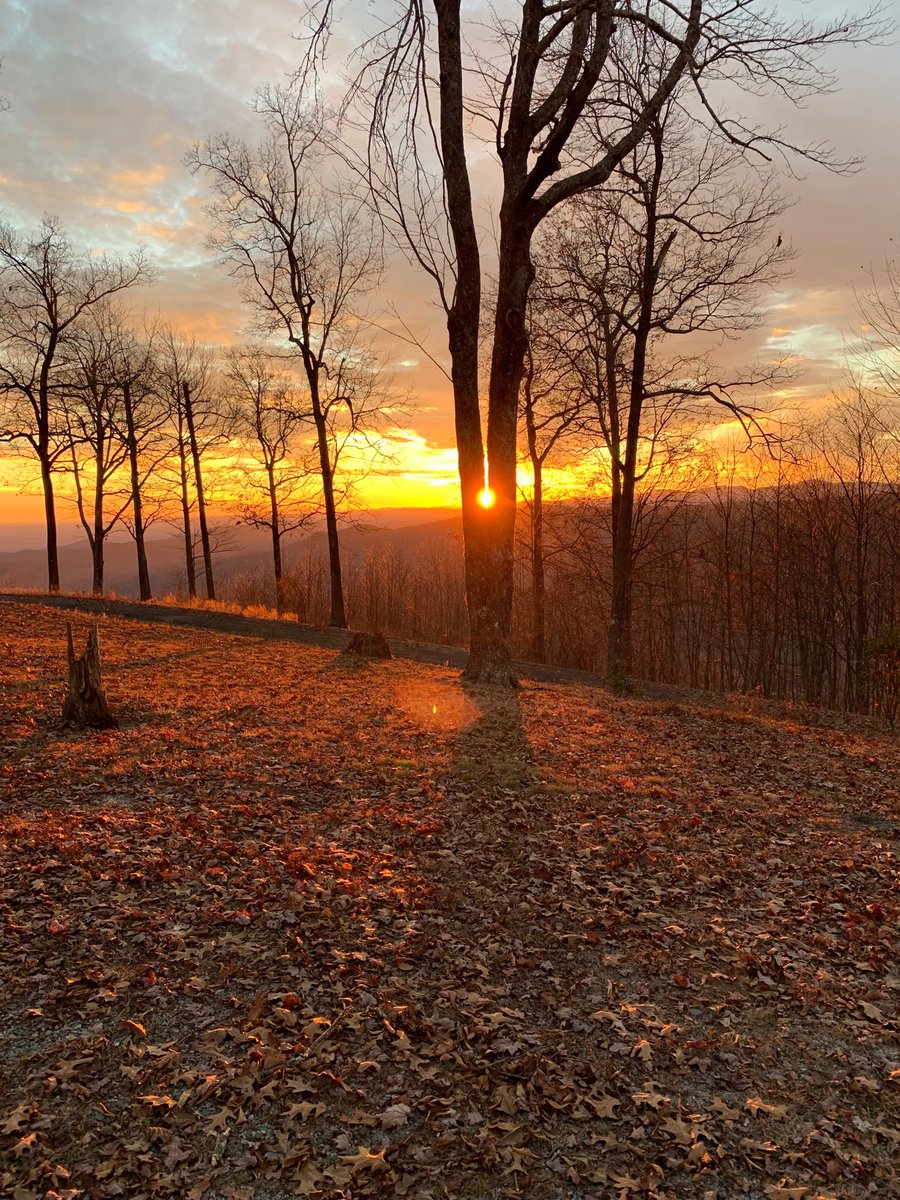 LenGengel's tweet photo. Feeling Blessed... #SunsetSC https://t.co/AIcUJuasVG