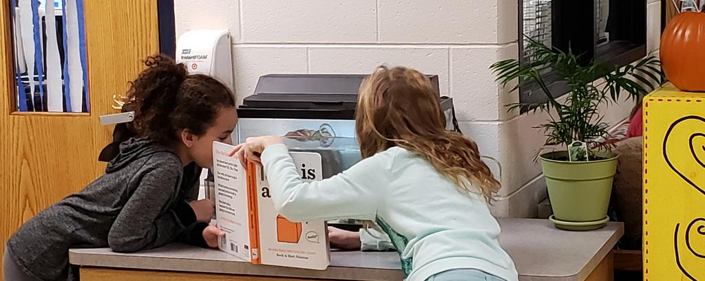 Pattikring44's tweet photo. Bubbles the Butterfield Frog is being read to during library time!!#WeAre44 #BFLRC # BFBluejays https://t.co/599rlLwwFi