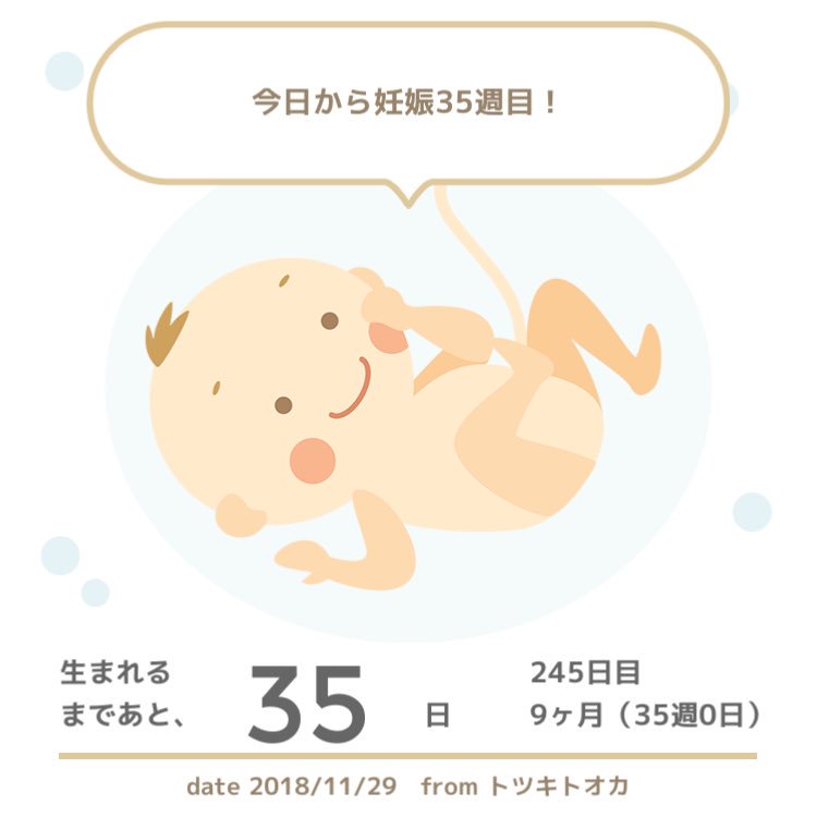 妊娠35w 妊娠35w