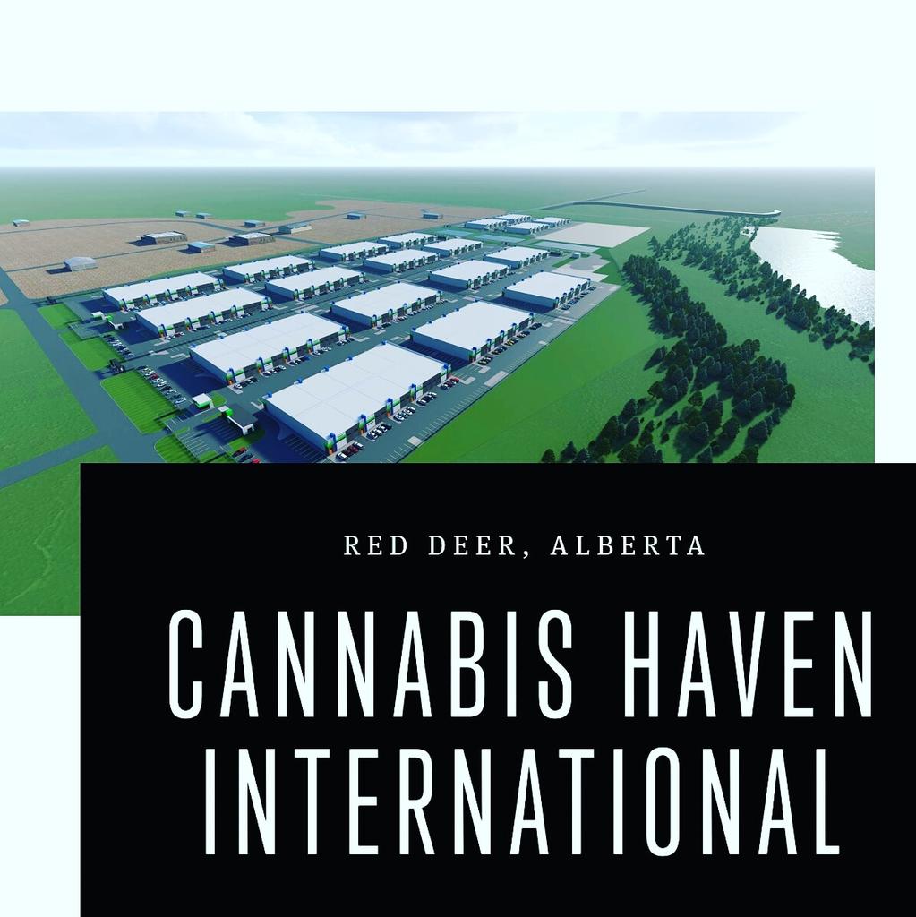 Looking for location to conduct commercial Cannabis activities? Welcome to Cannabis Haven 🌱 thecannabisscout.ca