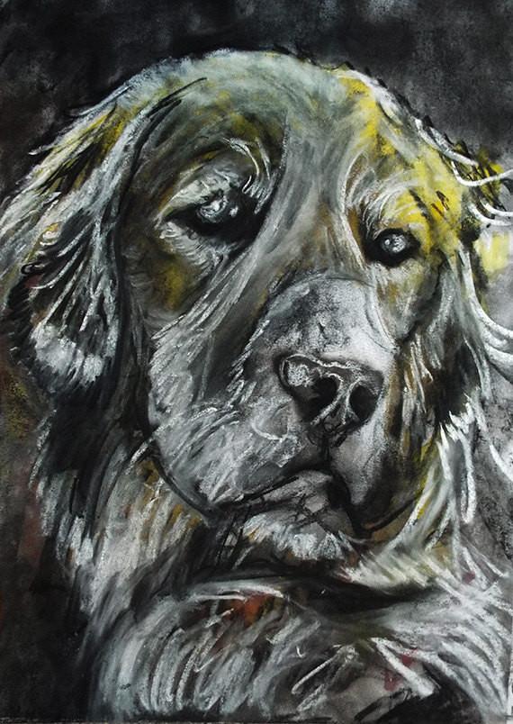 OscarJetson's tweet photo. Golden retriever print, charcoal Golden retriever drawing,dog gift, giclee print,dog portrait, golden retriever dog print https://t.co/NKnTxpDyf0 #doglover #dogowner #art #painting #dogsoftwitter #decor #dogbreed #dogmom #puppy #DogGiftIdeas https://t.co/9fjw5kdRfr