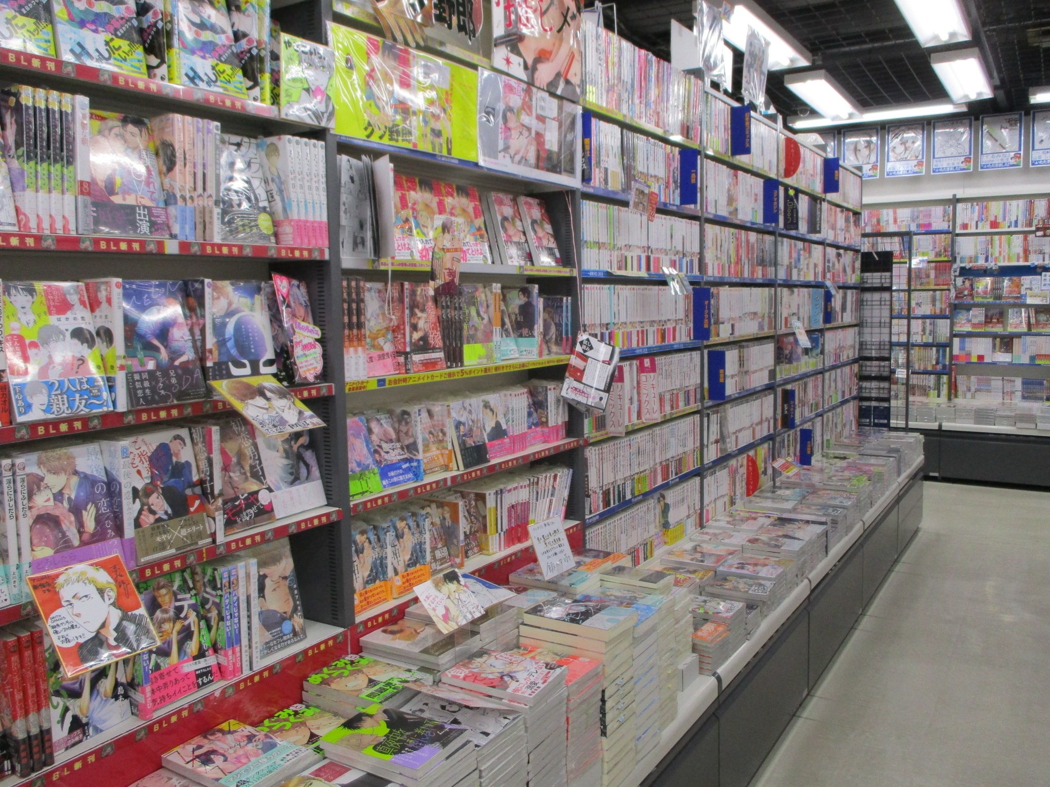 Twitter 上的 アニメイトbl課 Bl課店舗紹介 アニメイト新宿 オススメタイトルは大きく展開 試し読みを出したりpopをつけたりして 目立たせるように心がけております 少しでも多くのタイトルがお客様の手に取っていただけるように頑張っています 店舗情報