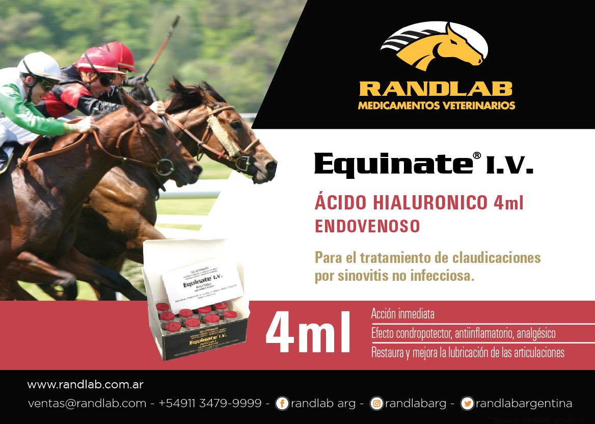 RandlabArg's tweet image. Equinate I.V. 4ml  - Acido hialuronico 
Para el tratamiento de claudicaciones por sinovitis no infecciosa.

Encontralo en las veterinarias!

Hacenos tu consulta a ventas@randlab.com o en la web: randlab.com.ar