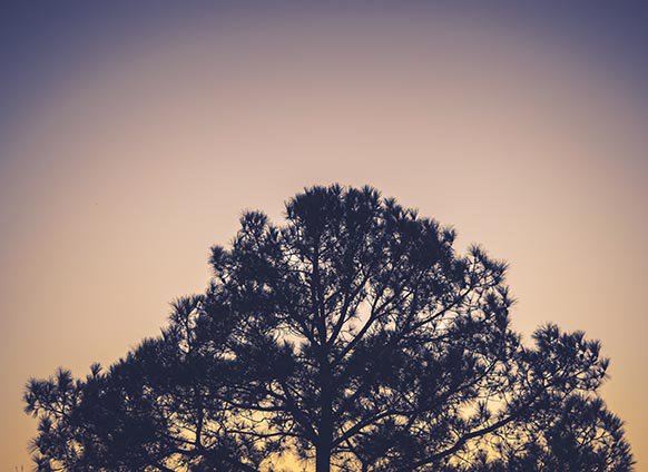 There are two choices you can make in life—to be more than you currently are or to stay the same. The difference between the two plays a huge role in your success and well-being.
success.com/rohn-we-all-ha…