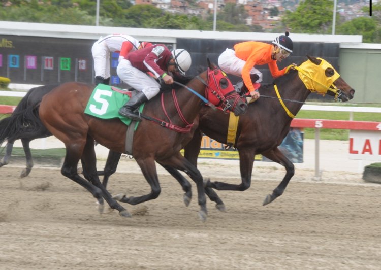 Programación hípica en la presente semana:
Viernes-Valencia: 9
Sábado-La Rinconada: 10
Domingo-La Rinconada: 12