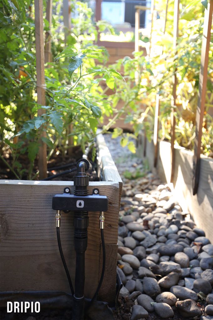 We are live on Kickstarter now! Check out our campaign and learn about smart garden watering technology we developed
#kickstarter #smarthome #smartgadget #smartproduct #smartgarden #dripirrigation #dripirrigationsystem #smartcontrolller #pdx #smartvalve #smartwatering #gardening