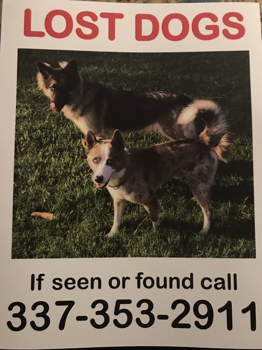 Dana Payne (DanaPayne80) Twitter