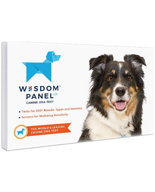 pawpys's tweet photo. Breed Identification DNA Test Kit 🐶 - Dog DNA breed ancestry testing kit: with a simple cheek swab you can do at home , wisdom pannel uses the most accurate and advanced breed identification method under patent .
You will receive results in two weeks ! LINK IN BIO TO VIEW more! https://t.co/9EZbO5jLd8