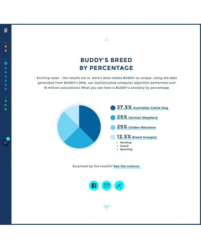 pawpys's tweet photo. Breed Identification DNA Test Kit 🐶 - Dog DNA breed ancestry testing kit: with a simple cheek swab you can do at home , wisdom pannel uses the most accurate and advanced breed identification method under patent .
You will receive results in two weeks ! LINK IN BIO TO VIEW more! https://t.co/9EZbO5jLd8