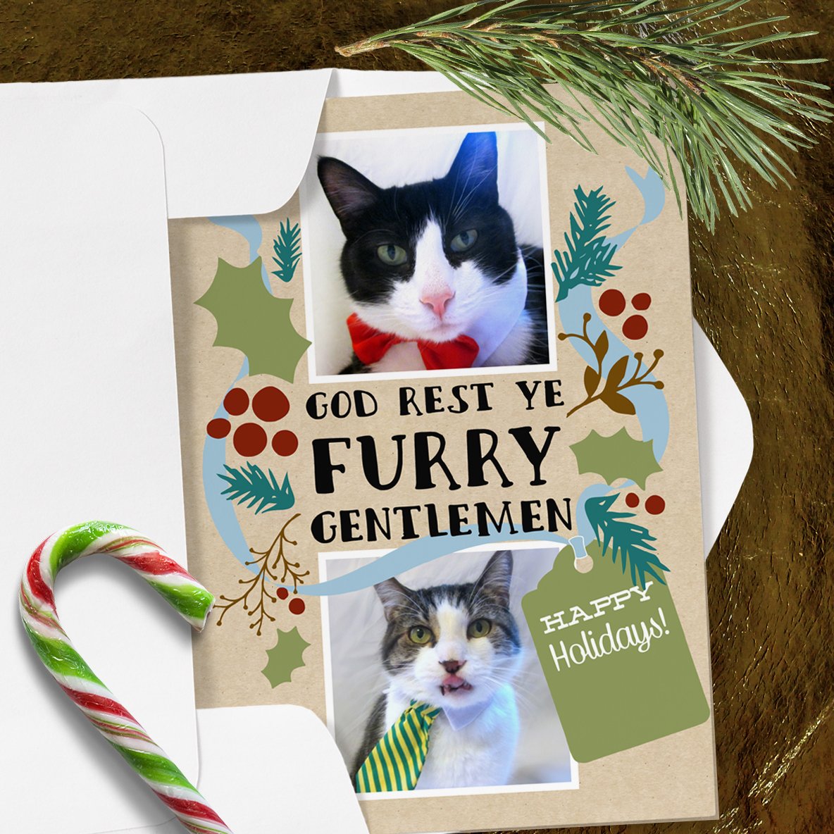 FlowerboxGrtngs's tweet photo. Make those little devils look respectable. Order custom photo cards at the link, and SAVE 60% with code CYBRWEEKZAZZ. 

#christmascards #christmas #petcards #petphotos #photocards #customcards #pets #cats #dogs #puppies #kittens #shopping
https://t.co/WchYjegNhh https://t.co/EVGx3CECBv