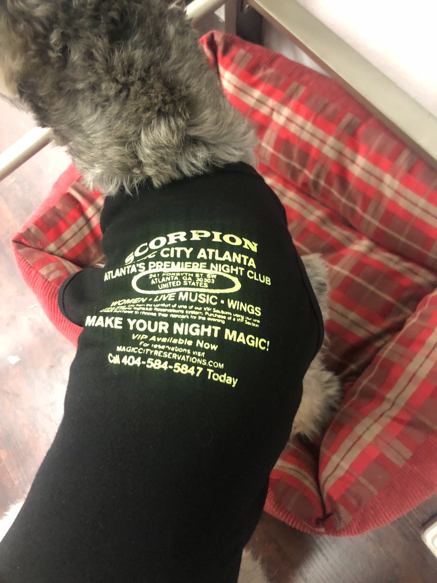 theKiingPin's tweet photo. @schnauzerpapi aka OVO Ben 🦉 https://t.co/NqmHevbkib