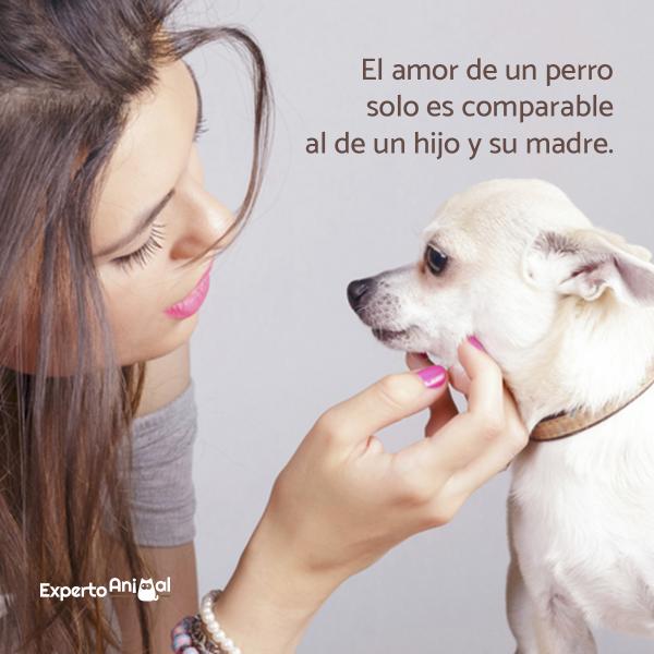 Andrés Viver on Twitter: "… "