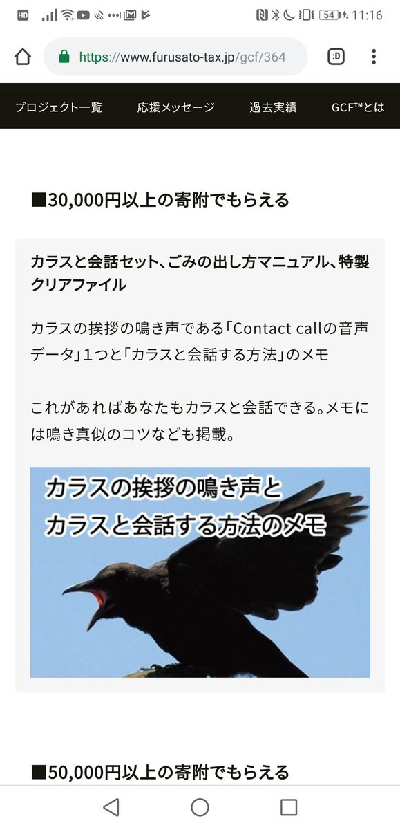 みずよし カラスに対する殺意が高いのか仲良くしたいのかごっちゃごちゃなリターンだ